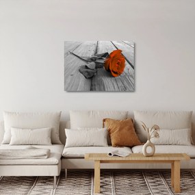 Tablou pe sticlă - Trandafir portocaliu (70x50 cm)