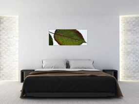 Tablou - Frunze de trandafir (120x50 cm)