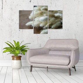 Tablou - Coadă de iepure (90x60 cm)