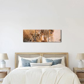Tablou cu pui de leu (cu ceas) (90x30 cm)