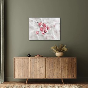 Tablou - Fructe congelate (70x50 cm)