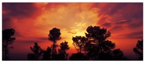 Tablou apus de soare (120x50 cm)