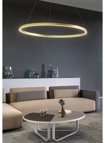 Lustră LED dimabilă pe cablu Redo 01-2889 FEBE LED/62W/230V auriu