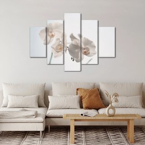 Tablou cu orhidee albă (150x105 cm)