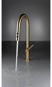 Baterie de chiuvetă cu cap de duș detașabil Deante BQO_R72M OLFATO auriu periat