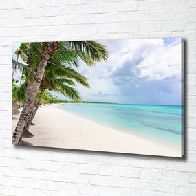 Print pe pânză Plaja tropicala
