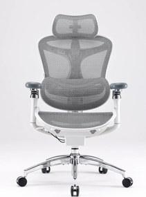 Scaun Ergonomic SIHOO Doro C300 Pro M102, Suport Lombar Adaptiv Inteligent, Spătar Reglabil pe Înălțime, Tetieră 3D, Cotiere 6D PU, Șezut Glisant, Reclinare 135°, Mesh, Gri