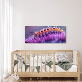 Tablou - Caterpillar (120x50 cm)