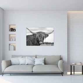 Tablou - Vacă scoțiană 2,alb-negru (90x60 cm)