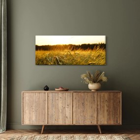 Tablou iarba cu rouă (120x50 cm)