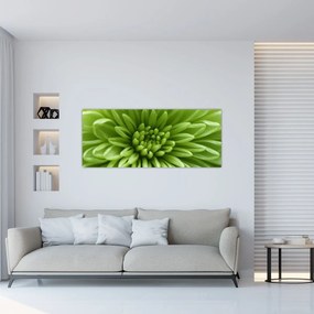 Tablou - Imagine macro a unei plante (120x50 cm)