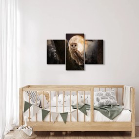 Tablou cu bufnița (90x60 cm)