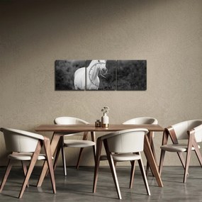 Tablou - Cal alb în poină (cu ceas) (90x30 cm)