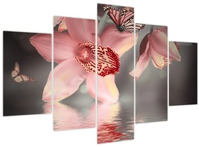 Tablou - Flori și fluture (150x105 cm)