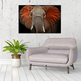 Tablou - Elefanți cu Tsavo (90x60 cm)