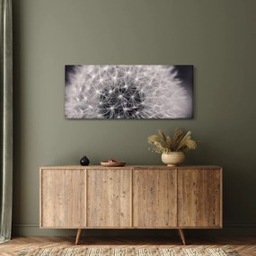 Tablou cu păpădie (120x50 cm)