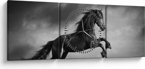 Tablou - Cal alb și negru (cu ceas) (90x30 cm)