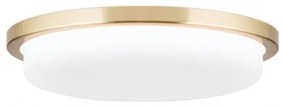 Plafoniera LED moderna LEROX 30cm alama mat