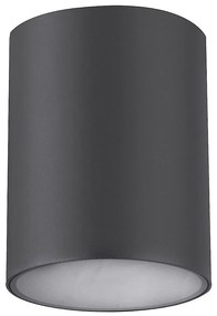 Spot aplicat pentru iluminat exterior design modern IP54 Zombor antracit 10cm