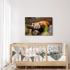 Tablou cu panda roșie (90x60 cm)