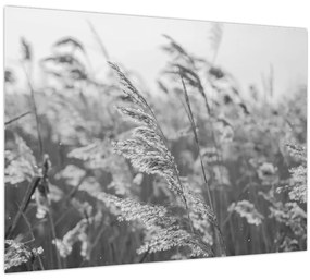 Tablou - Iarba în vânt (70x50 cm)