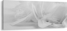 Tablou - Pene (120x50 cm)