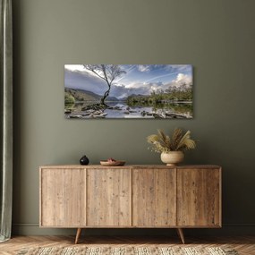 Tablou cu râu și copac (120x50 cm)