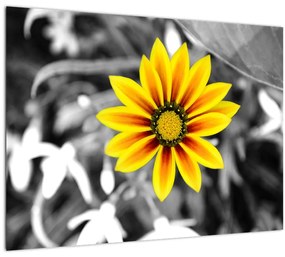 Tablou pe sticlă cu floare galbenă (70x50 cm)