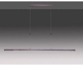 Lustră LED dimabilă pe cablu Paul Neuhaus 2568-24 ADRIANA LED/14W/230V