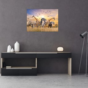 Tablou pe sticlă - Animae din Africa (70x50 cm)