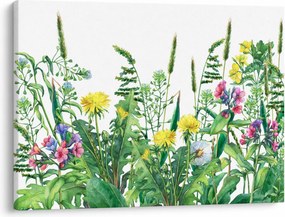 Tablou - Flori de pajiște pictate (70x50 cm)
