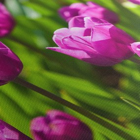 Tablou cu lale pe luncă (120x50 cm)
