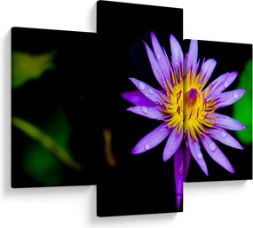 Tablou cu floare (90x60 cm)