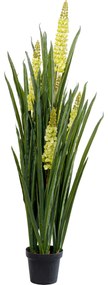 Planta decorativa Rhynchostylis 150cm