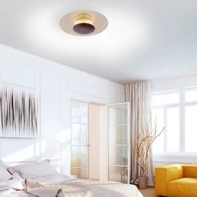 Plafonieră LED dimabilă NEVIS LED/18W/230V Paul Neuhaus 6551-48