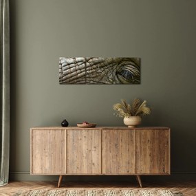 Tablou - Prim-planul ochiului de elefant vechi (cu ceas) (90x30 cm)