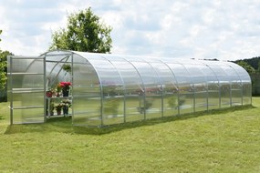 Seră din policarbonat Amber 3x10 m