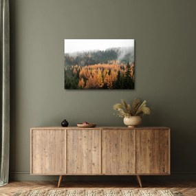 Tablou - Pădure toamna (70x50 cm)