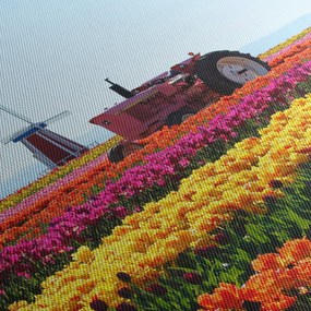 Tablou cu farma de lalele (150x105 cm)