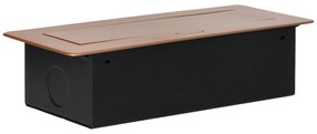 Priza incastrabila dreptunghiulara, 2 prize scuko + 2 USB 5V 2.1A, fara cablu, auriu, Orno