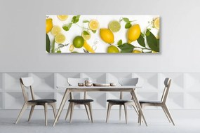Tablou amestec de fructe citrice