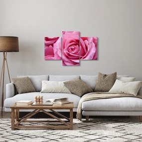 Tablou cu trandafir (90x60 cm)
