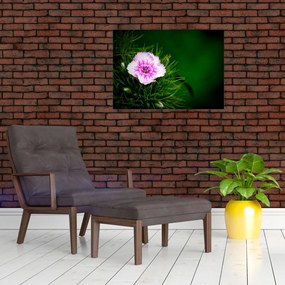 Tablou cu floare roz (70x50 cm)