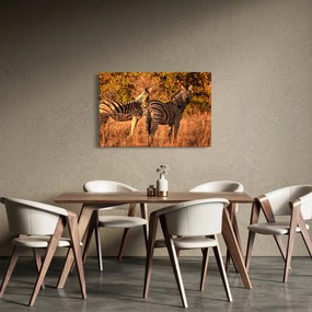 Tablou cu zebre (90x60 cm)