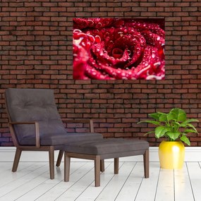 Tablou cu floarea trandafirului roșu (90x60 cm)