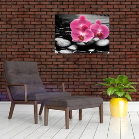 Tablou pe sticlă - Orhidee roz (70x50 cm)