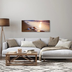 Tablou - Scoici (120x50 cm)