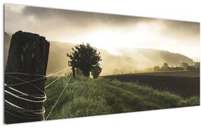Tabloucu luncă (120x50 cm)