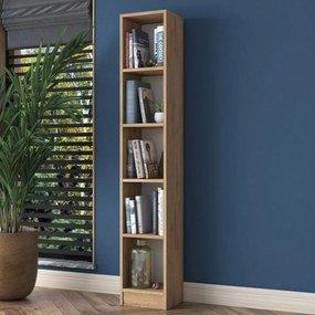 Bibliotecă Hale Walnut