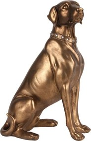 Statuetă decorativă din polirășină, bronz, câine Weimaraner așezat, cu zgardă cu strasuri, 39 x 26 x 19 cm, „Baron”